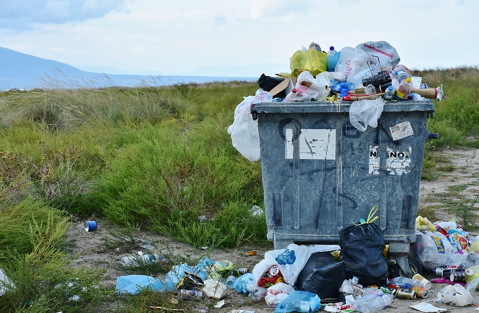 5 Trash Bound Items You Can Turn To Money Now